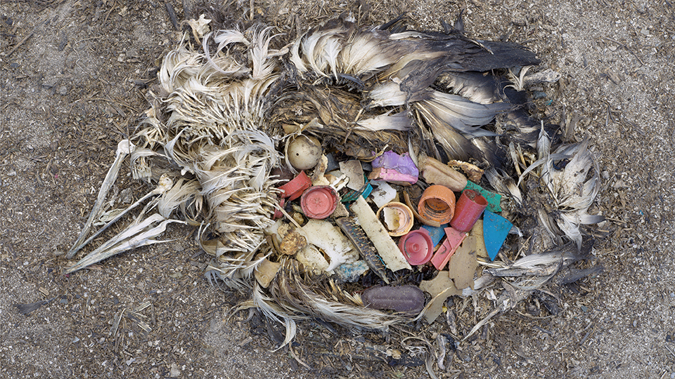 Image result for chris jordan photography plastic